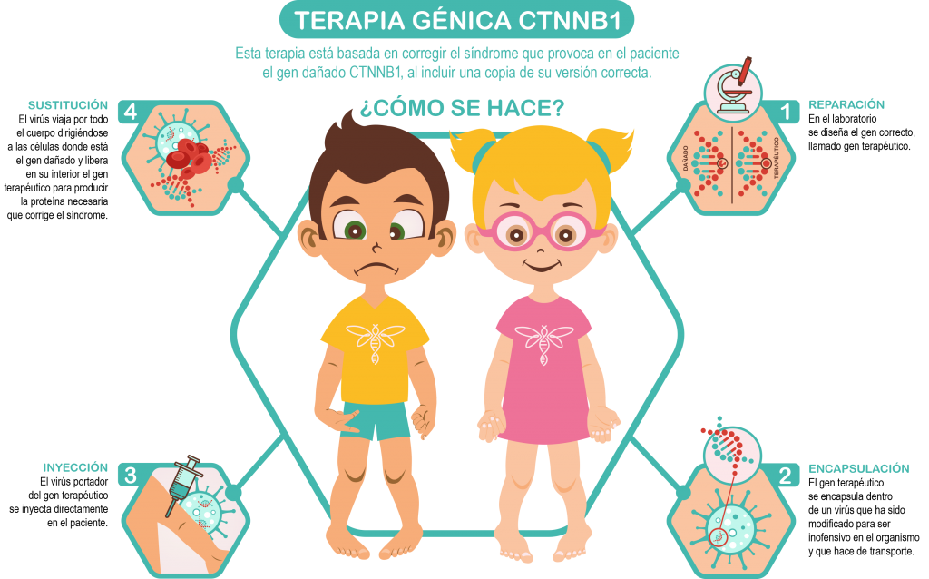 Terapia Génica - Asociación CTNNB1